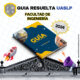 Guia Resuelta Facultad de Ingenieria